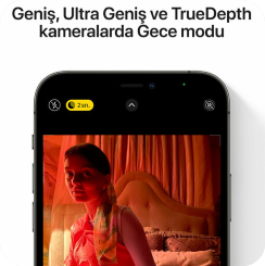 Apple iPhone 12 Pro Max 256GB Altın