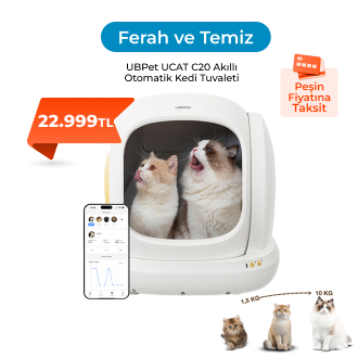 Kedileriniz İçin Daha Temiz Bir Yaşam Alanı Yaratın
