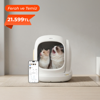 Kedileriniz İçin Daha Temiz Bir Yaşam Alanı Yaratın