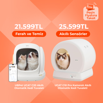 Kedileriniz İçin Daha Temiz Bir Yaşam Alanı Yaratın