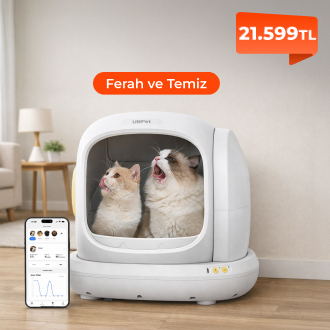 Kedileriniz İçin Daha Temiz Bir Yaşam Alanı Yaratın