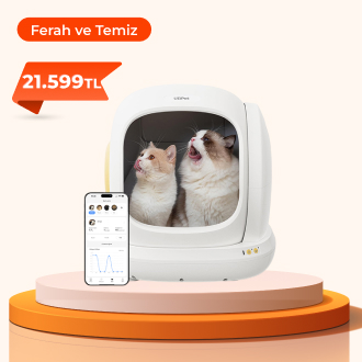 Kedileriniz İçin Daha Temiz Bir Yaşam Alanı Yaratın