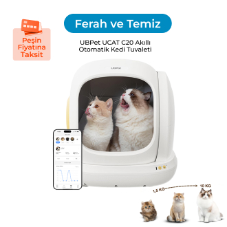 Kedileriniz İçin Daha Temiz Bir Yaşam Alanı Yaratın