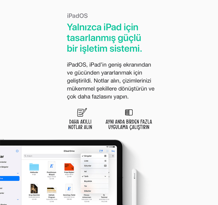 iPad 4Nesil Wi-Fi Rose Gold MYFP2TUA 64 GB 109 Tablet 6