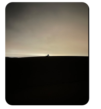 iPhone 12 64GB Black 5