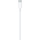 Apple USB-C Lightning Şarj Kablosu (1m)