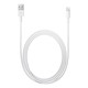 Apple USB Lightning Şarj Kablosu (2m)