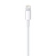 Apple USB Lightning Şarj Kablosu (2m)