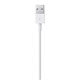 Apple USB Lightning Şarj Kablosu (2m)