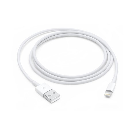 Apple USB Lightning Şarj Kablosu (1m)