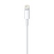 Apple USB Lightning Şarj Kablosu (1m)