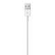 Apple USB Lightning Şarj Kablosu (1m)