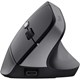 Trust TM-270 Ergonomik Kablosuz Mouse - Siyah