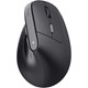 Trust TM-270 Ergonomik Kablosuz Mouse - Siyah