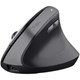Trust TM-270 Ergonomik Kablosuz Mouse - Siyah