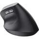 Trust TM-270 Ergonomik Kablosuz Mouse - Siyah